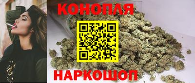 скорость Кингисепп