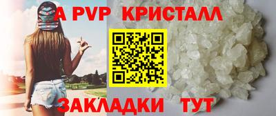 скорость Кингисепп