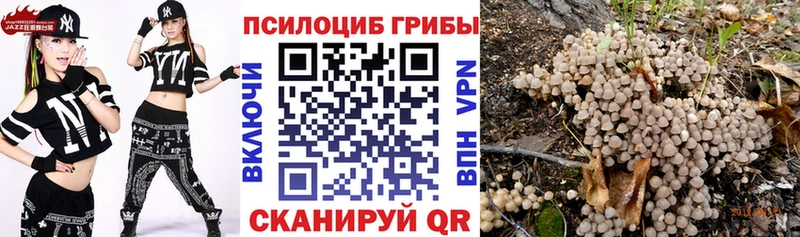сайты даркнета какой сайт мега онион Подольск Галлюциногенные грибы Psilocybine cubensis