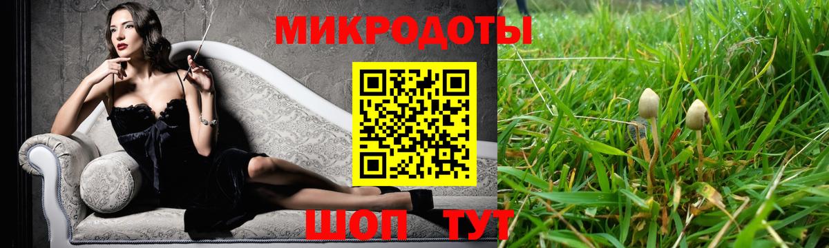 Галлюциногенные грибы прущие грибы  Галлюциногенные грибы Cubensis  Подольск  Вход с VPN 
