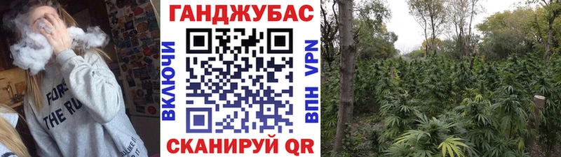 Каннабис Bruce Banner  Подольск 